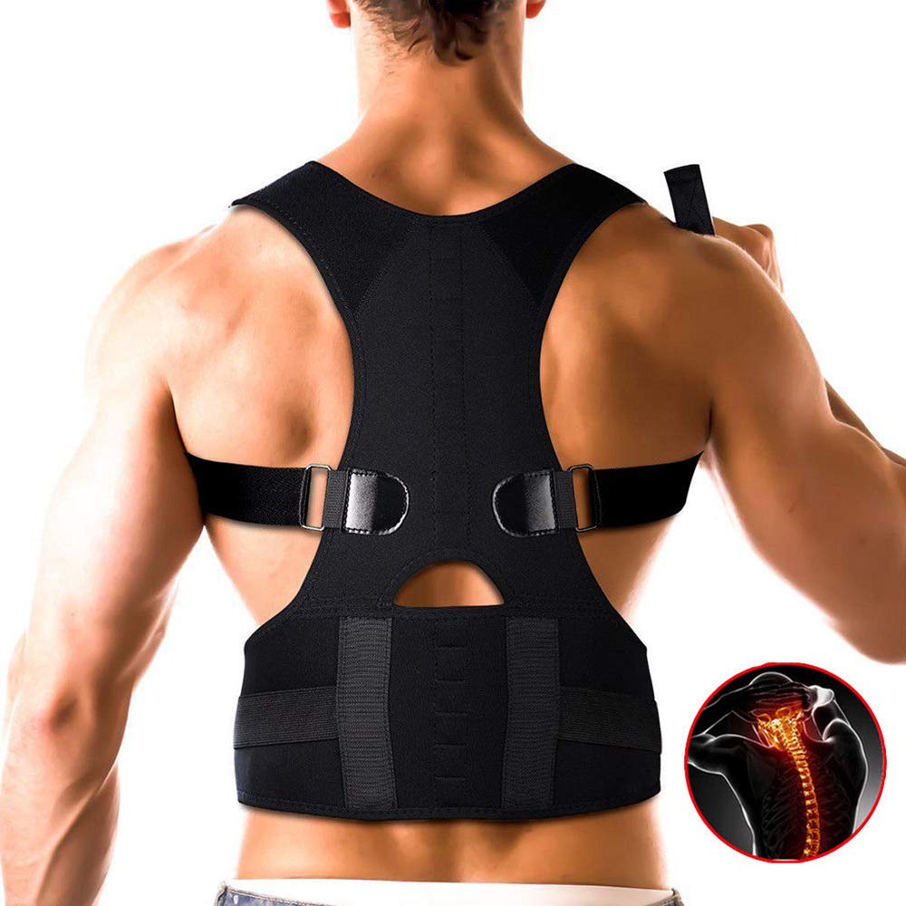 All-Gender Back Support Belt